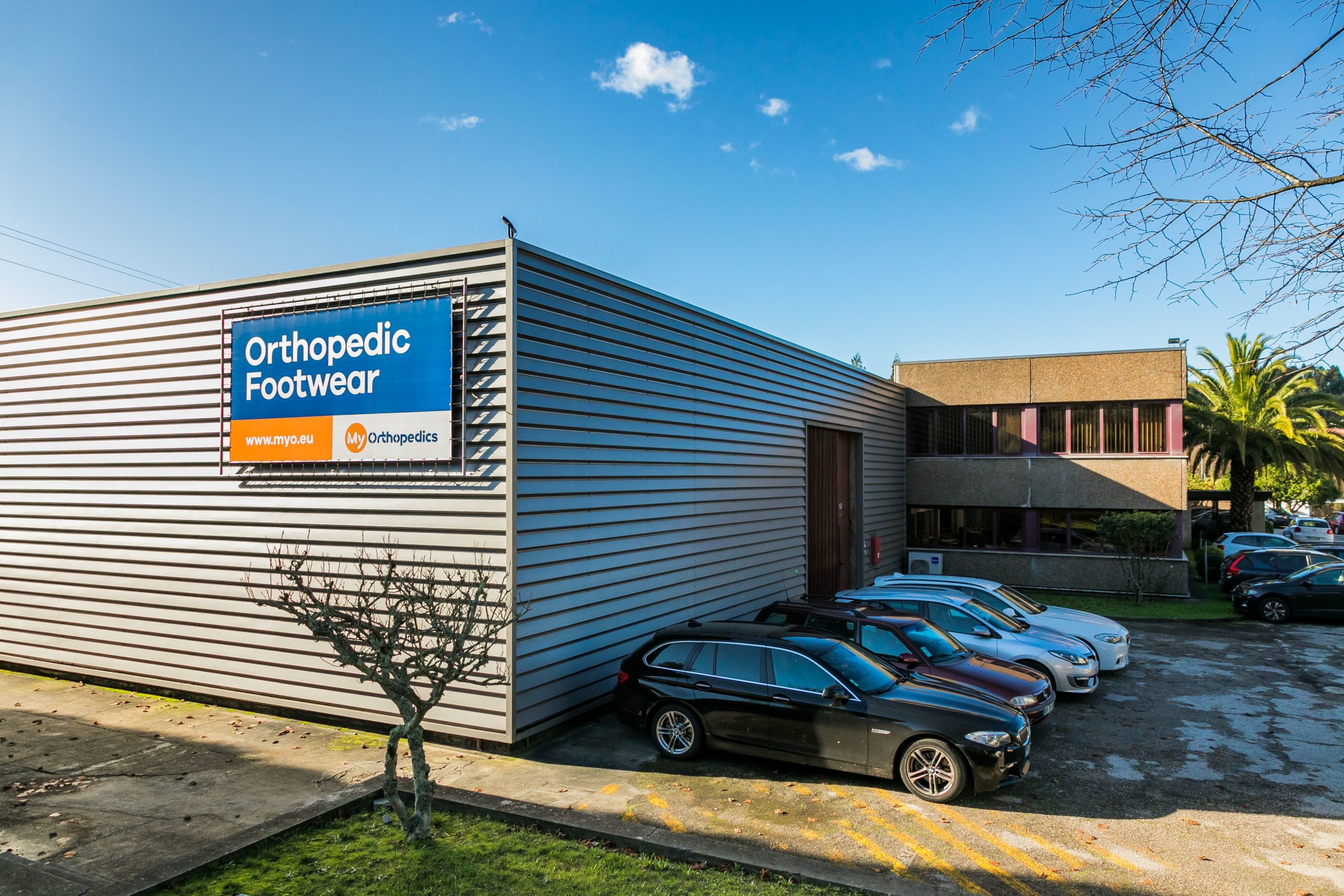 Home - My Orthopedics